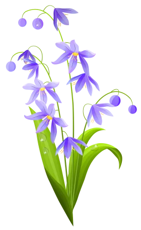 Elegant Bluebell Spring Flowers Delicate Nature Clipart Illustration