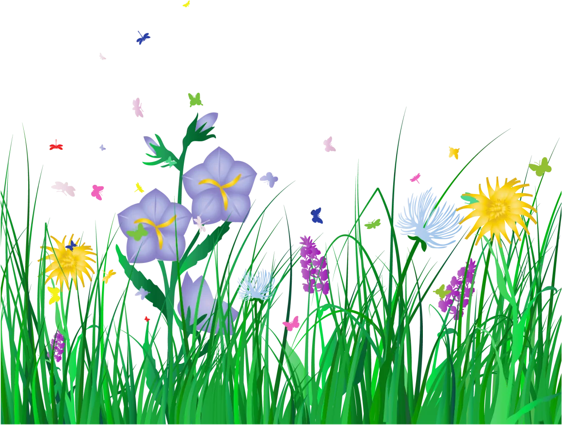 Enchanting Spring Meadow Wildflowers Clipart - Delicate Blossoms in Lush Green Grass