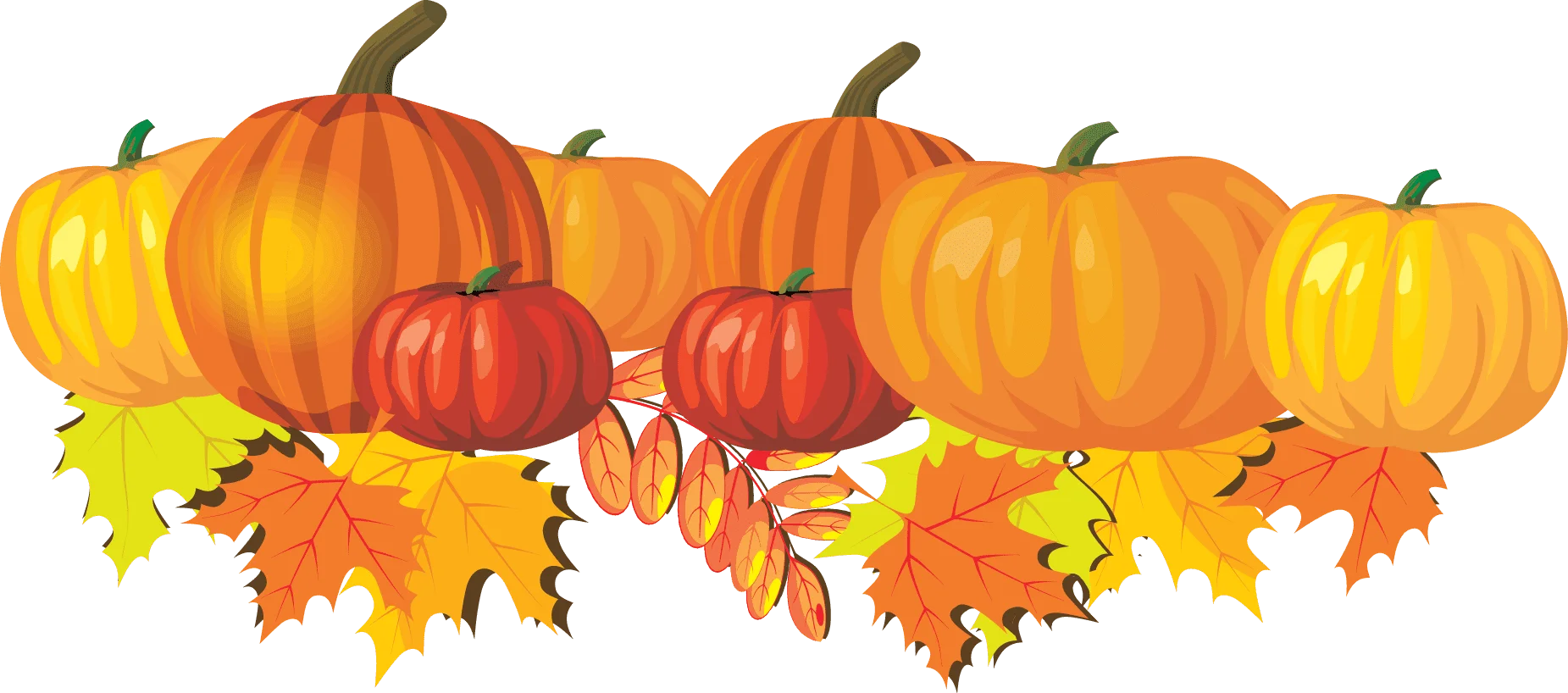 Autumn Harvest Pumpkins and Maple Leaves Seasonal Clipart Illustration