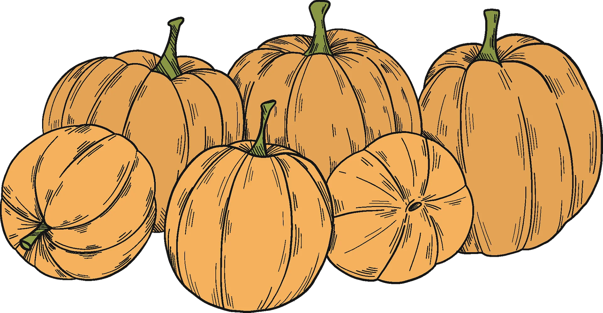 Vintage Autumn Harvest: Rustic Hand-Drawn Pumpkin Clipart Collection
