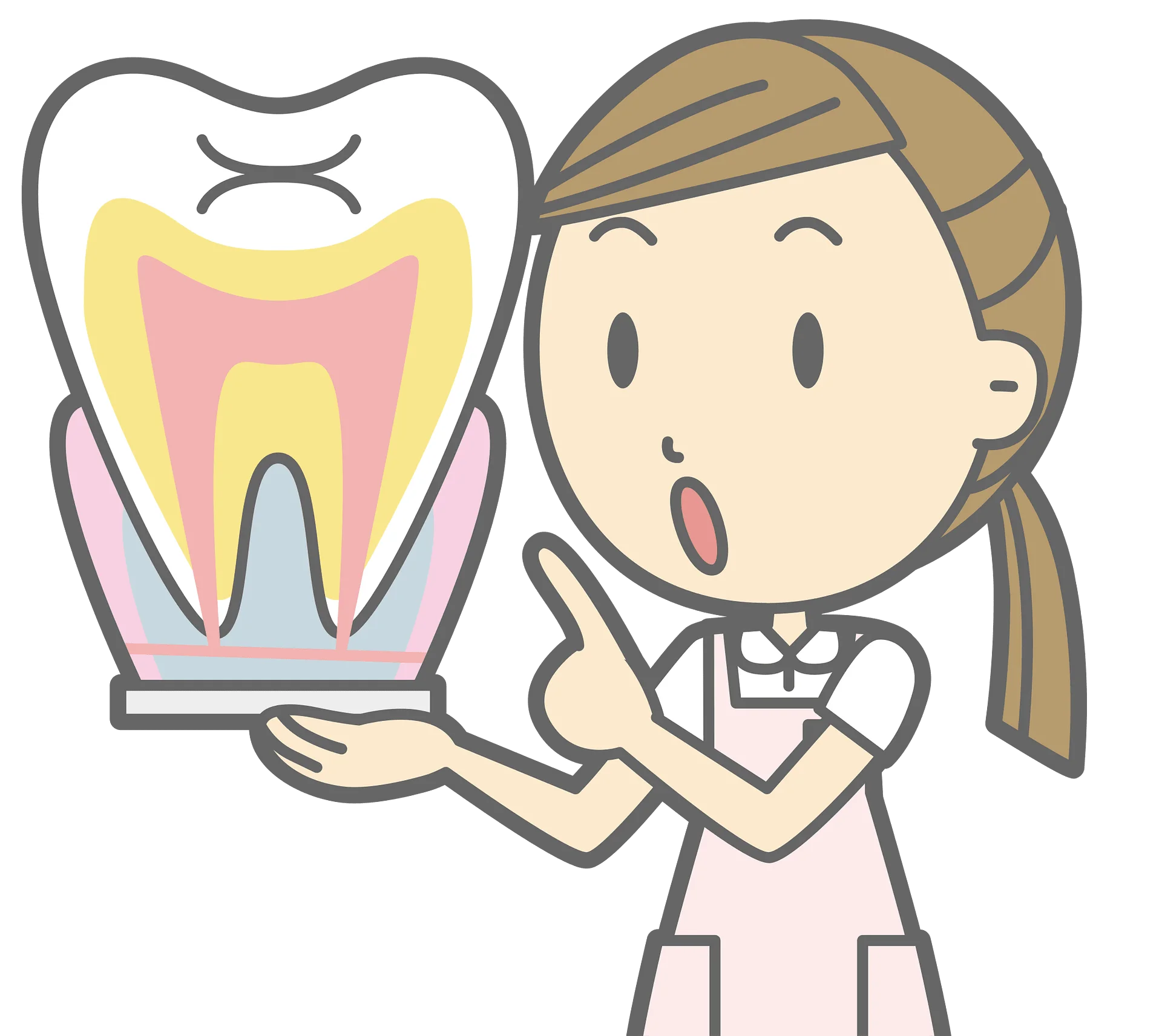 Friendly Dental Professional Explaining Tooth Anatomy with Detailed Clipart Illustration