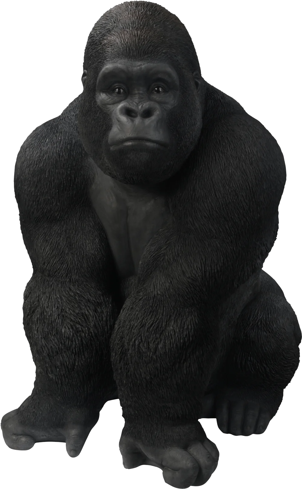 Majestic Black Gorilla Sitting Pose Realistic Animal Clipart Illustration