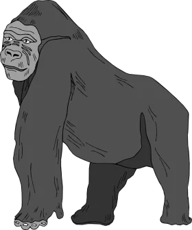 Monochrome Muscular Gorilla Clipart: A Powerful Primate Illustration