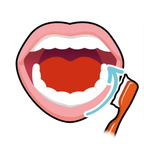 Open Mouth Dental Health Illustration Showing Teeth and Oral Hygiene Clipart