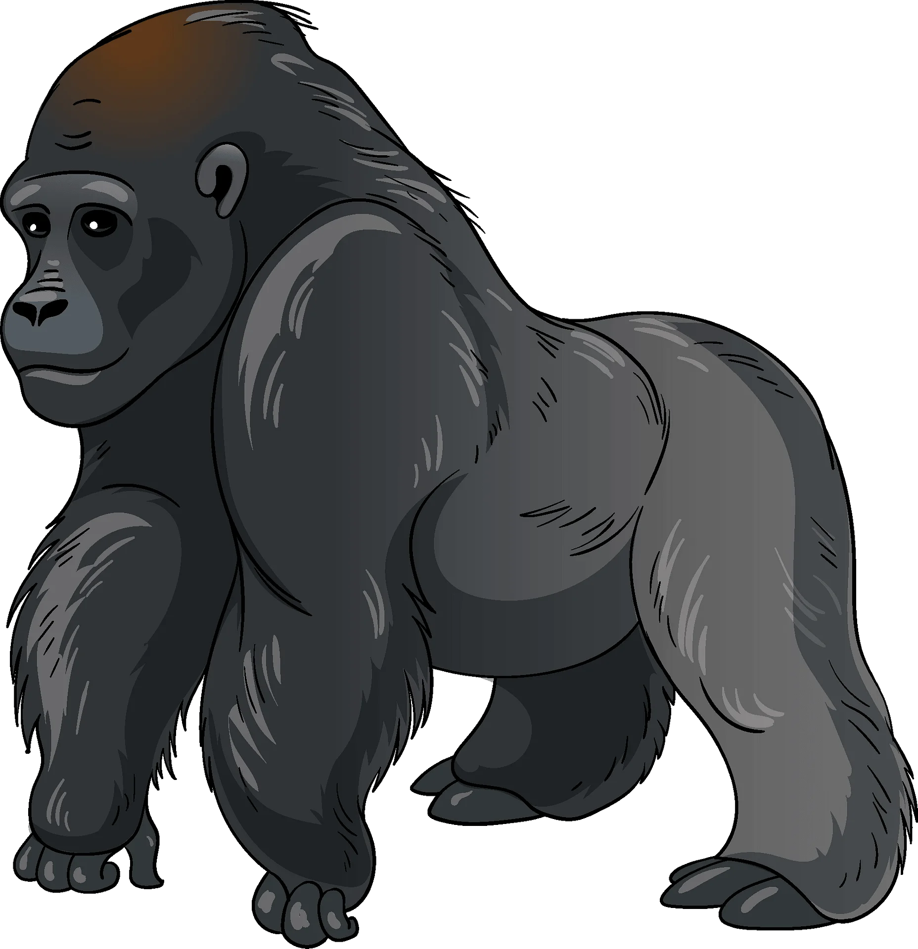 Powerful Monochromatic Gorilla Clipart Illustration of Muscular Primate