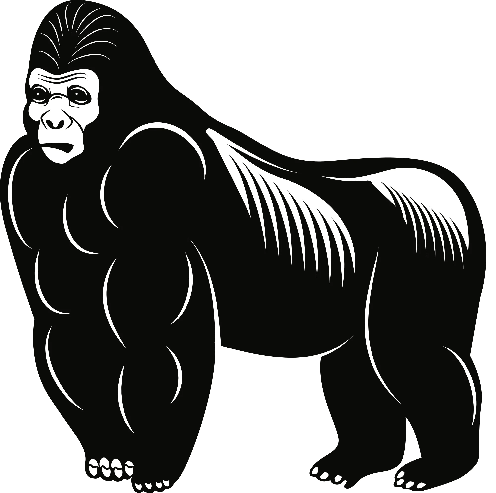 Powerful Monochrome Silverback Gorilla Clipart Illustration with Muscular Stance