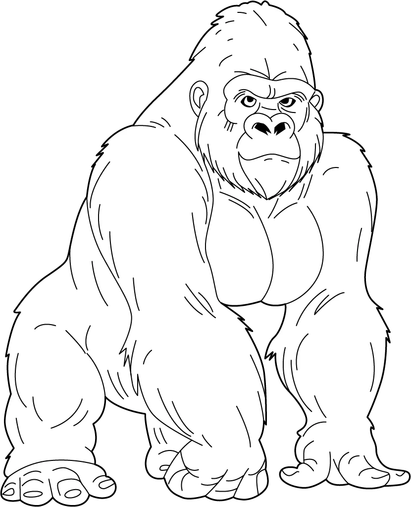 Powerful Silverback Gorilla Monochrome Illustration Clipart Design