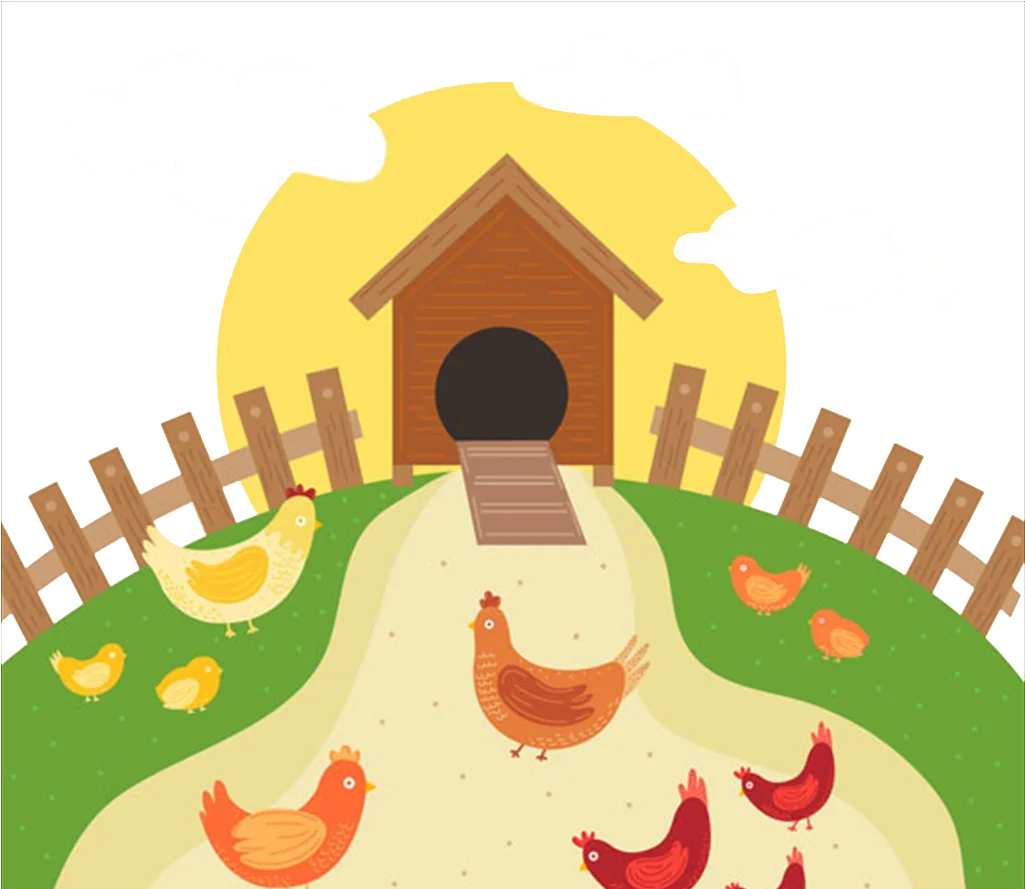 Charming Countryside Chicken Coop Animation with Playful Feathered Friends