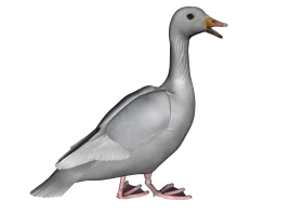 Detailed Grayscale Goose Clipart Illustration with Simple Minimalist Design