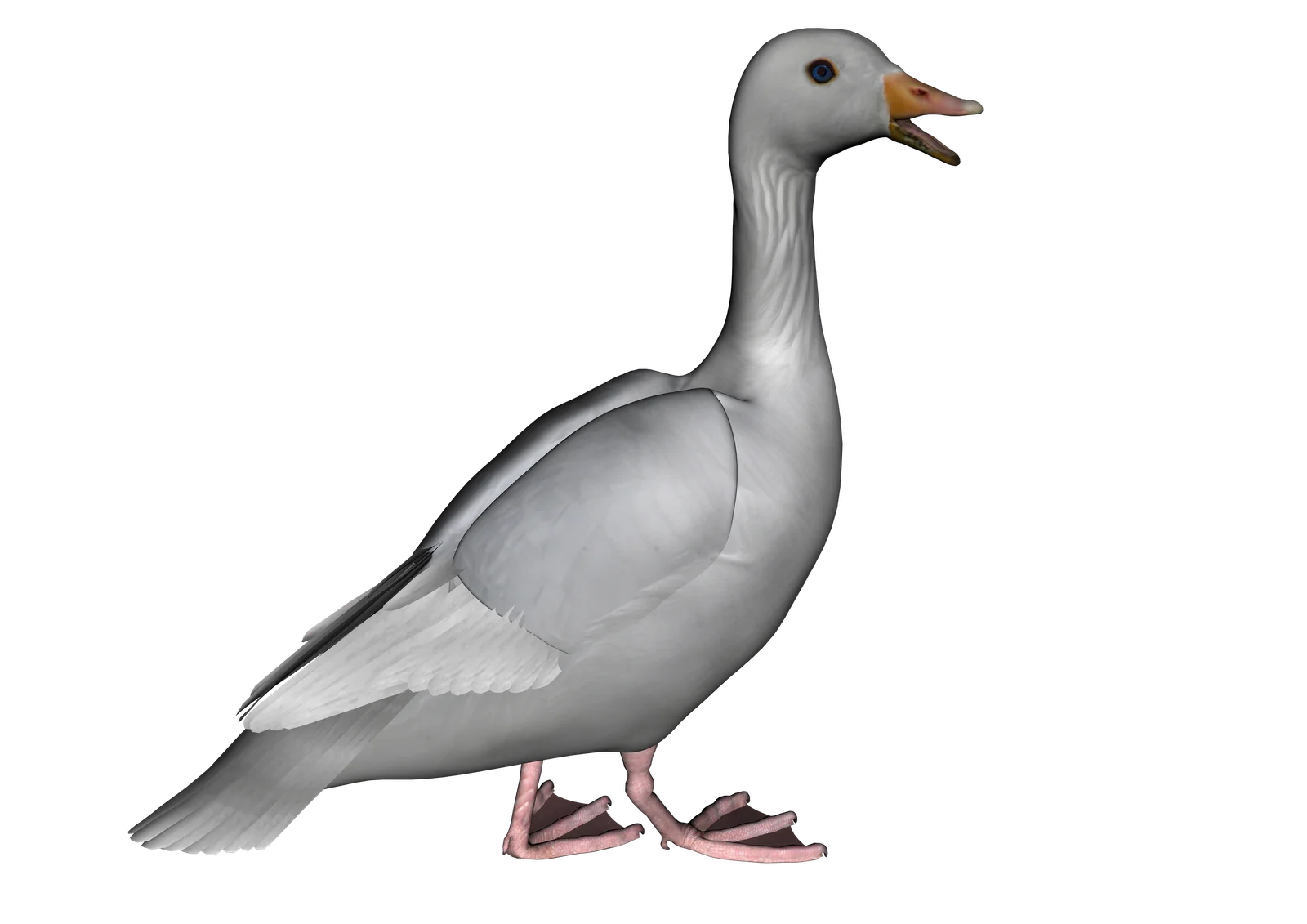 Detailed Grayscale Goose Clipart Illustration with Simple Minimalist Design
