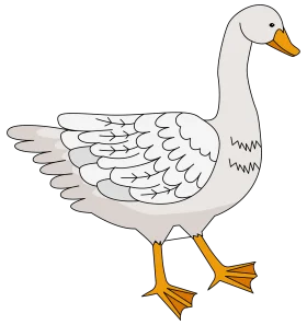 Elegant White Goose Clipart: Charming Illustration of a Feathered Waterfowl