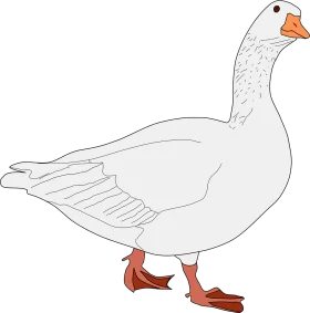 Elegant White Goose Clipart Illustration with Soft Feather Details and Red Feet