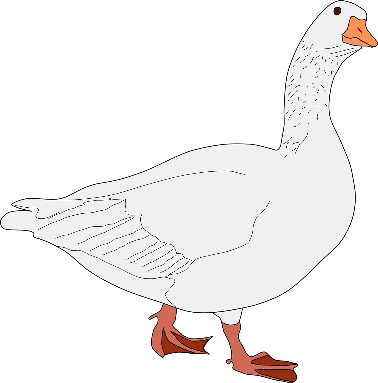 Elegant White Goose Clipart Illustration with Soft Feather Details and Red Feet