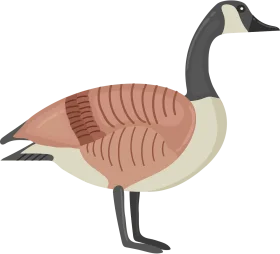 Stylized Minimalist Canada Goose Clipart with Soft Earth-Toned Palette