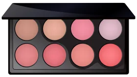 Professional Makeup Clipart Palette: Soft Blush Tones Cosmetic Color Collection