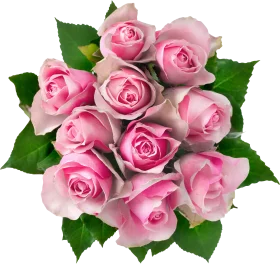 Delicate Pink Roses Animation: Soft Blossoming Bouquet Clipart Design