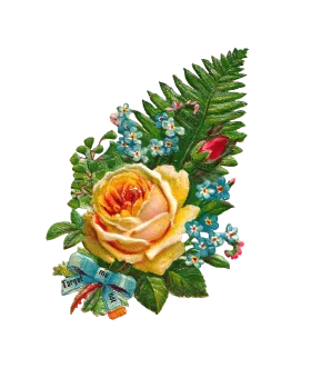 Vintage Botanical Bouquet Animation with Golden Rose and Delicate Ferns