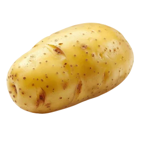 Fresh Russet Potato Clipart with Textured Golden Skin and Natural Contours