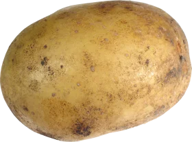 Rustic Potato Clipart: A Detailed Illustration of a Whole Yellow-Brown Potato