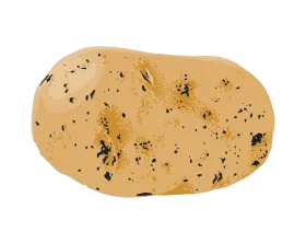 Rustic Potato Clipart with Earthy Speckled Texture and Organic Shape