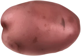 Rustic Red Potato Clipart Illustration with Textured Surface and Organic Shape