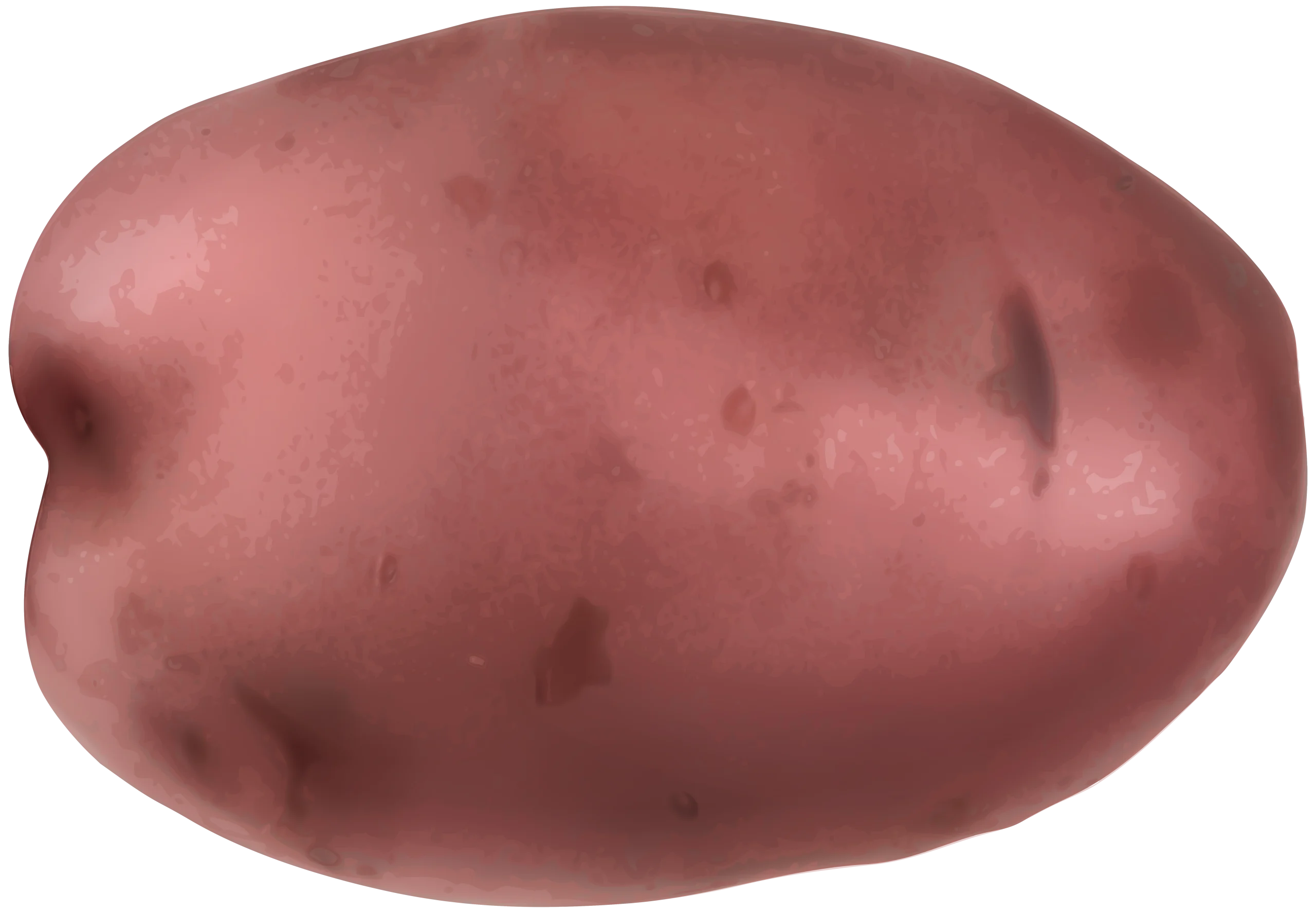 Rustic Red Potato Clipart Illustration with Textured Surface and Organic Shape