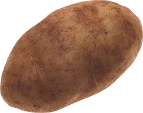 Rustic Whole Russet Potato Clipart: Earthy Agricultural Harvest Illustration