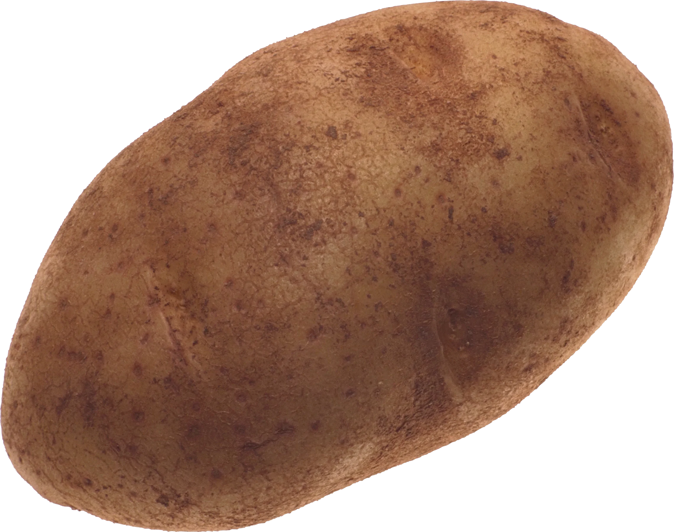 Rustic Whole Russet Potato Clipart: Earthy Agricultural Harvest Illustration