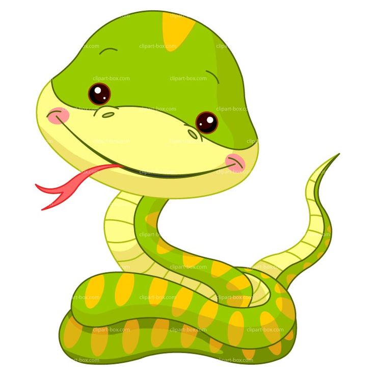 Clipart funny snake free vector design bichinhos