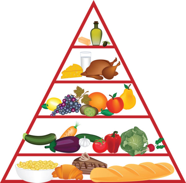 Food pyramid clip art free free clipart images 2