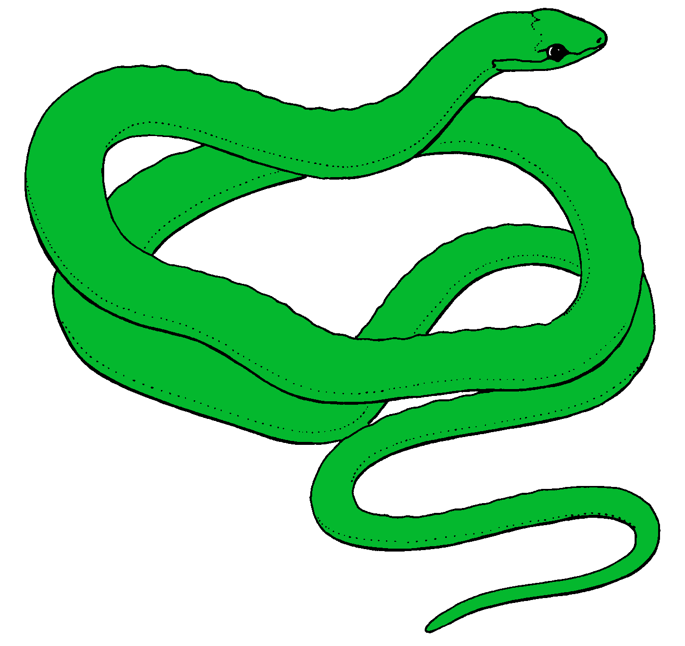 Snake clip art black and white free clipart images 2