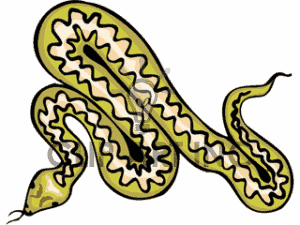 Snake clip art images free clipart images
