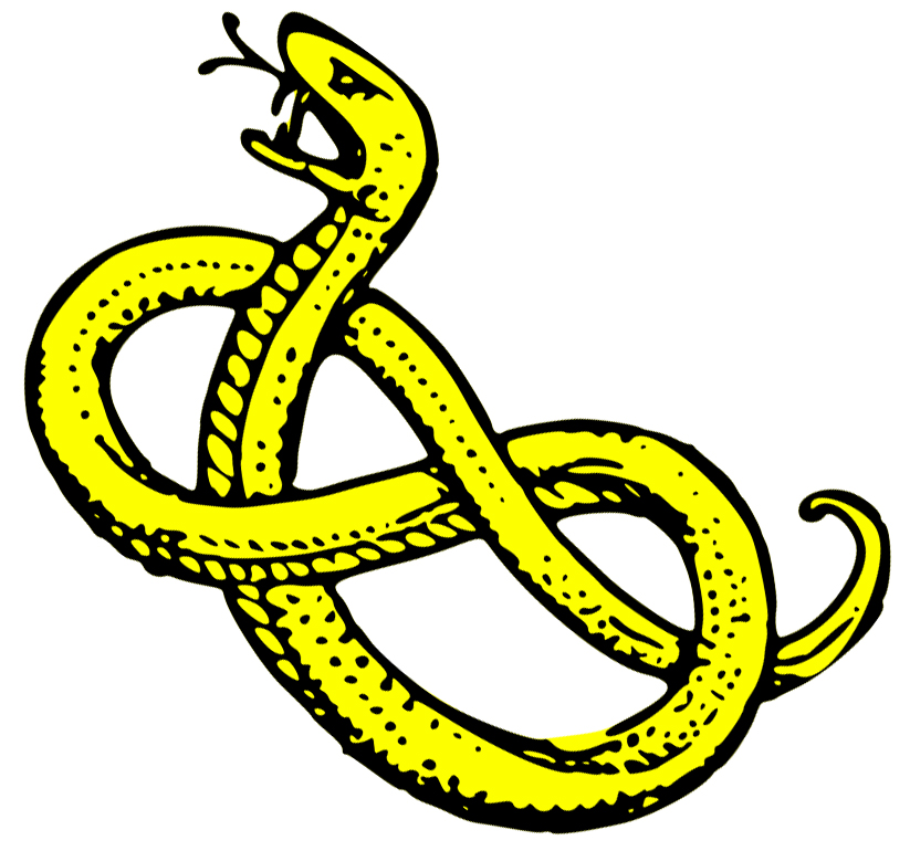Snake clipart clipart cliparts for you 3