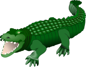 Alligator clip art a clipart cliparts for you