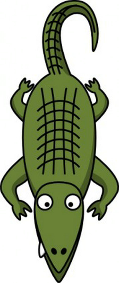 Alligator clip art free vector download graphics clipart
