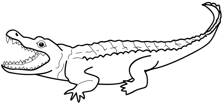 Alligator clipart black and white free clipart 2