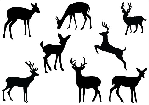 Baby deer silhouette clip art free clipart images