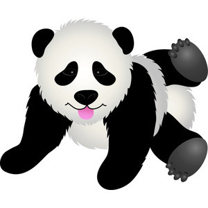 Bird face panda free images clipart free clip art images image