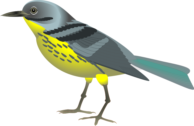 Bird graphics clip art