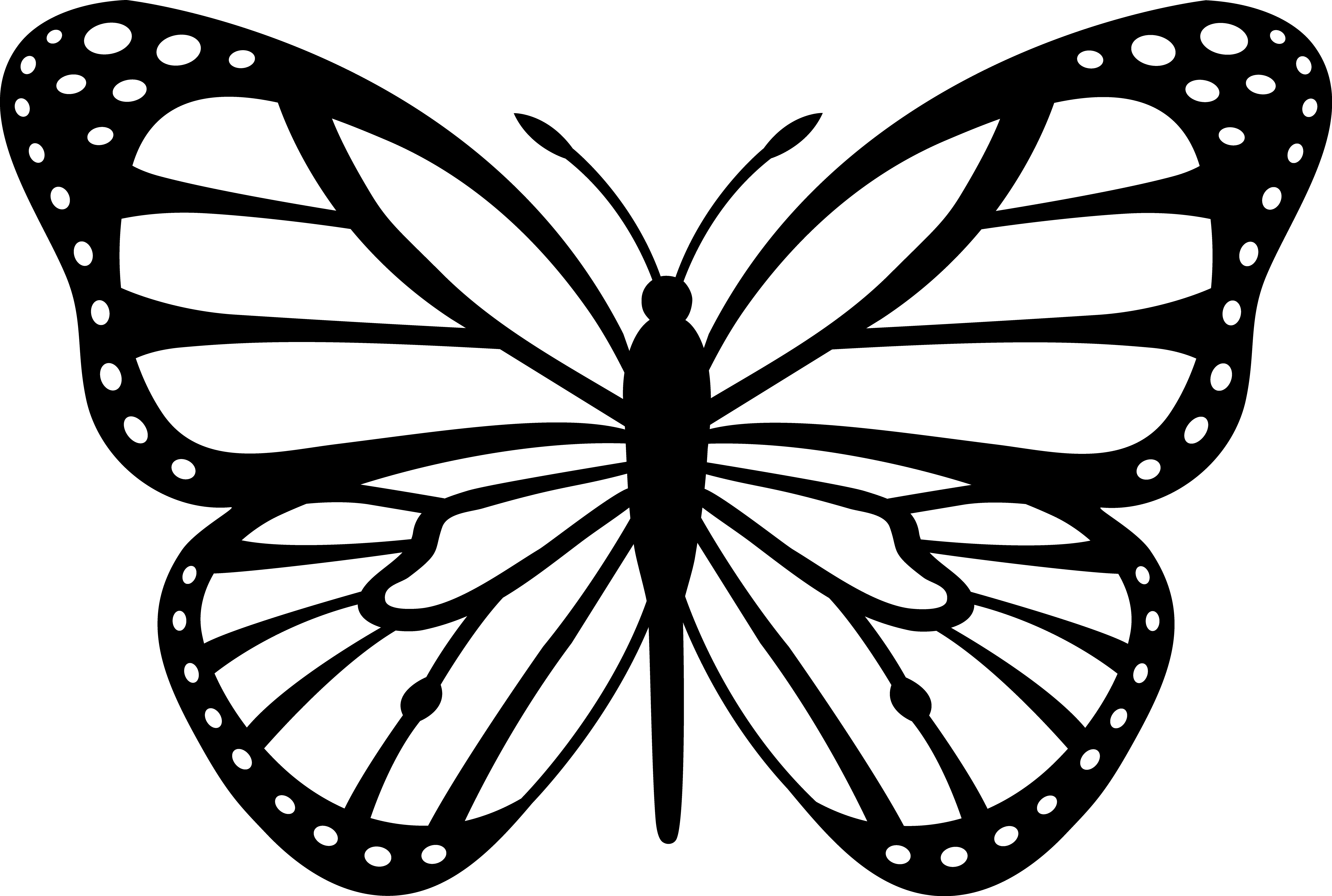 Black and white butterfly clip art coloring page for kids kids