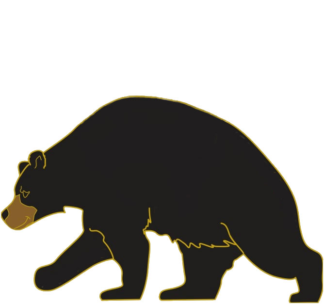Black bear clip art search
