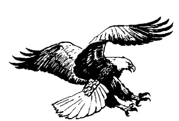 Black white eagle clip art images gallery