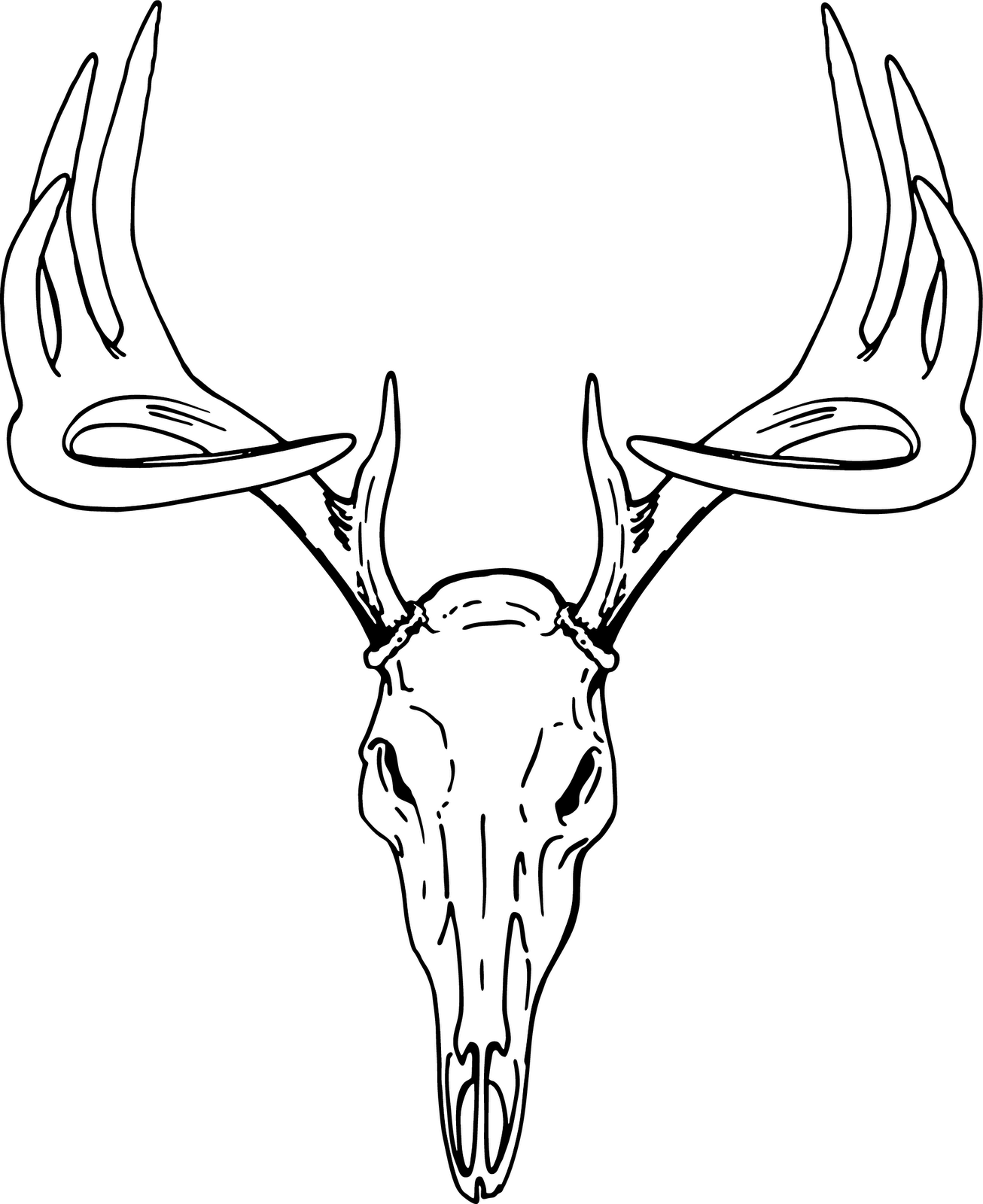 Buck clip art european mount deer skull clip art deer track clip