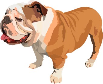 Bulldog Dog Clip Art Clipartix