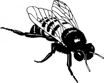 Bumble bee clip art free vector in open office drawing svg svg
