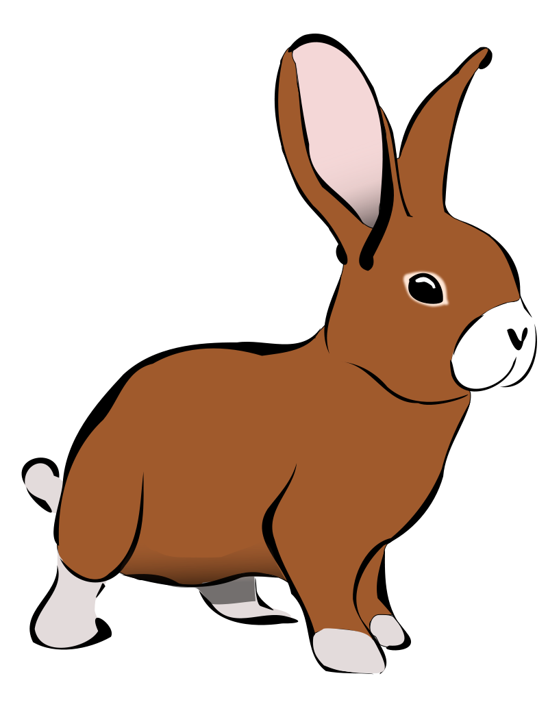 Bunny clip art pictures