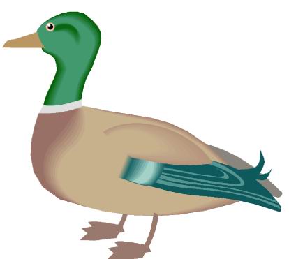 Clip art about ducks dromgae top