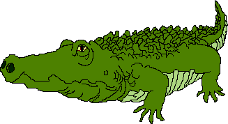 Clip art alligator clipart image