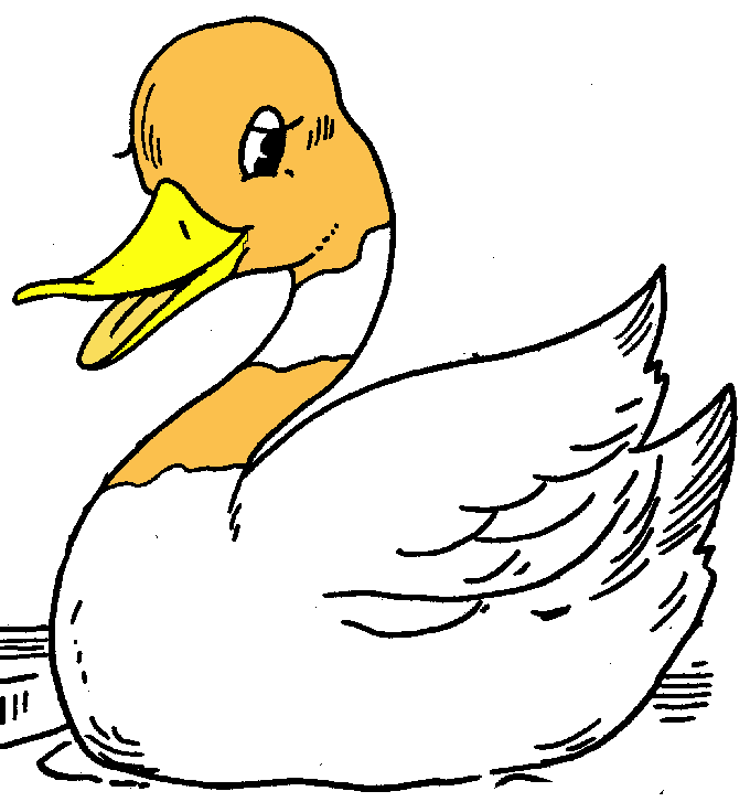 Clip art duck dromgbk top