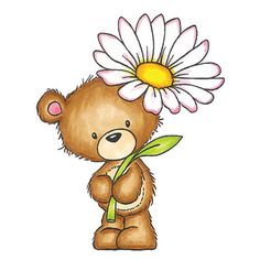 Clip art on bears bear pictures and teddy bears